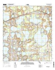 Updated 1948 1:125000 Scale 1895 YellowMaps Chico CA topo map 30 X 30 Minute Historical 20.8 x 16.7 in 