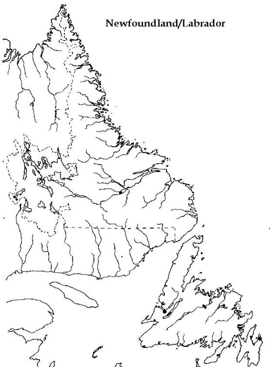 printable map of Newfoundland province, NF black and white map