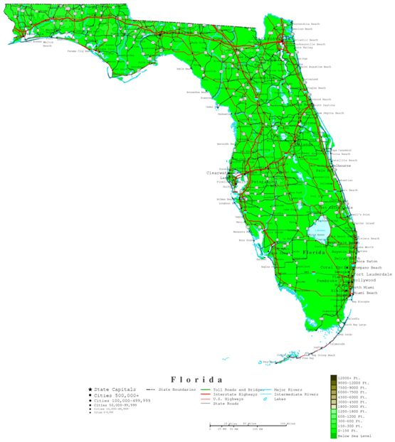 contour map of Florida state, FL elevation map