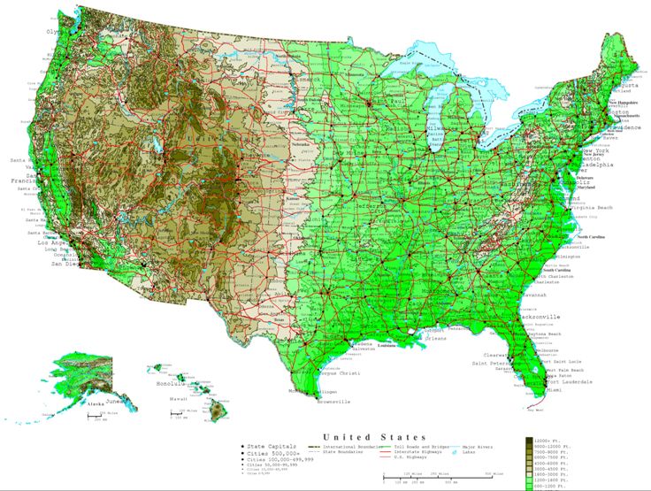 contour map of United States states, USA elevation map