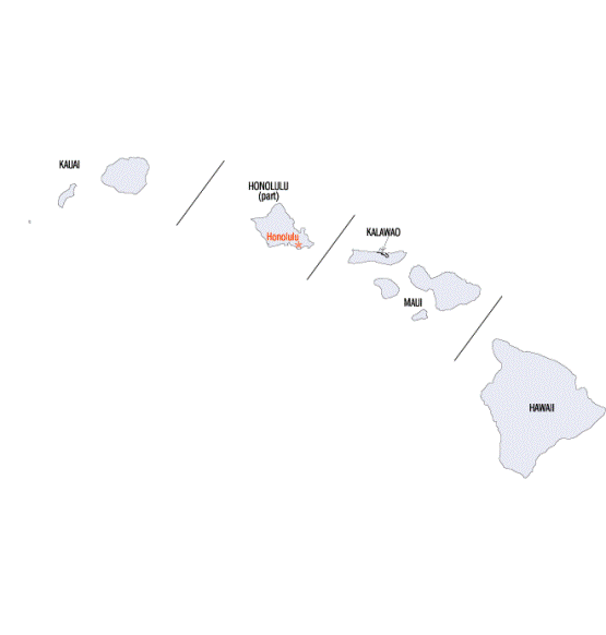 county map of Hawaii state, HI outline map