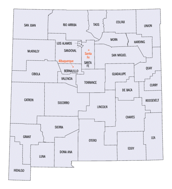 county map of New Mexico state, NM outline map
