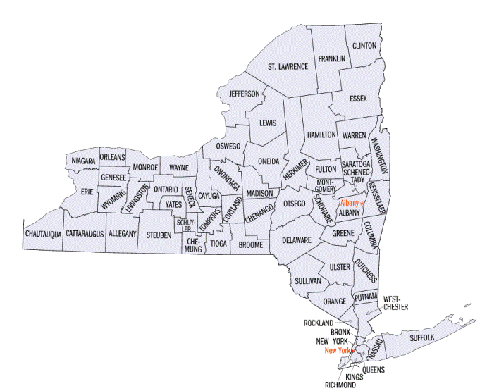 county map of New York state, NY outline map