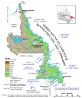 Newfoundland Relief Map