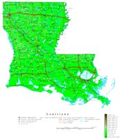 Louisiana Contour Map