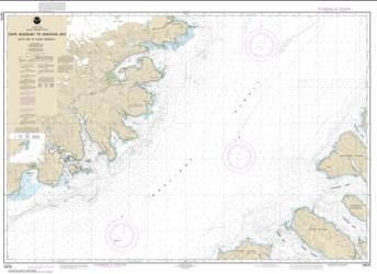 Buy map Shelikof Strait-Cape Nukshak to Dakavak Bay Nautical Chart (16576) by NOAA from Alaska Maps Store