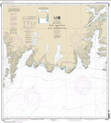 Buy map Point Elrington to Cape Resurrection Nautical Chart (16683) by NOAA from Alaska Maps Store