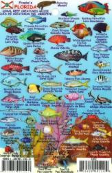 Buy map Florida Keys Mini Fish ID Card by Frankos Maps Ltd. from Florida Maps Store