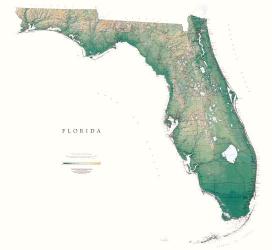 Buy map Florida, Physical by Raven Press