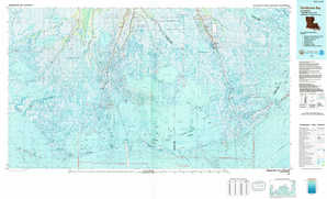 Terrebonne Bay 1:250,000 scale USGS topographic map 29090a1
