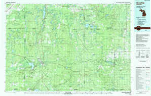 Grayling topographical map