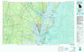 Brunswick USGS topographic map 31081a1