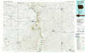 Rock Rapids USGS topographic map 43096a1