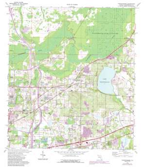 Thonotosassa USGS topographic map 28082a3