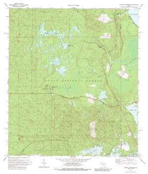Juniper Springs USGS topographic map 29081b6
