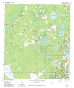 Lynne USGS topographic map 29081b8