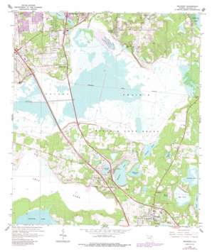 Micanopy USGS topographic map 29082e3
