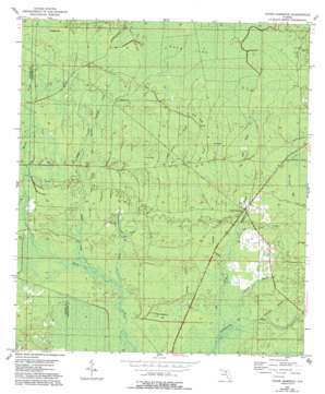 Cooks%20Hammock USGS topographic map 29083h3