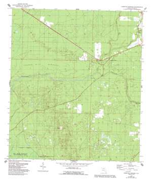 Hampton Springs USGS topographic map 30083a6