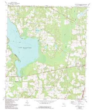 Lake Miccosukee topo map