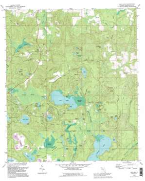 Gap Lake USGS topographic map 30085e5