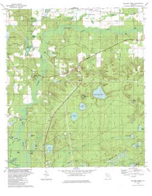 Millers Ferry topo map