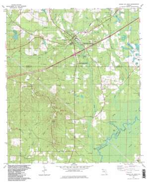 Ponce de Leon USGS topographic map 30085f8