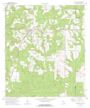 Laurel Hill USGS topographic map 30086h4