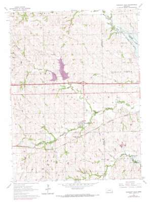 Pleasant Dale USGS topographic map 40096g8