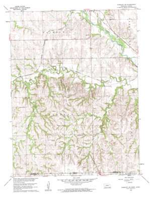 Fairbury Sw topo map