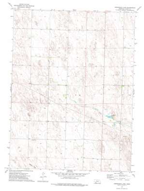 Arrowhead Lake USGS topographic map 40101b5