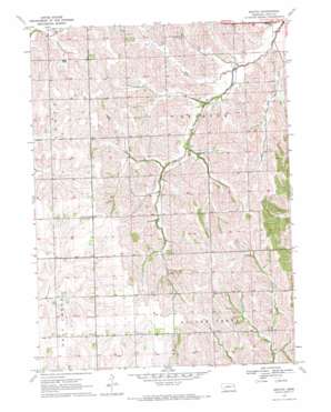 Bertha USGS topographic map 41096h3