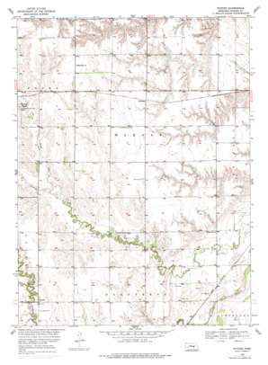 Nysted topo map