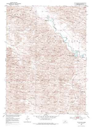 Taylor Nw topo map