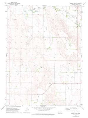 Murphy Table topo map