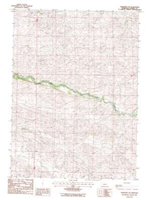 Thedford Sw topo map