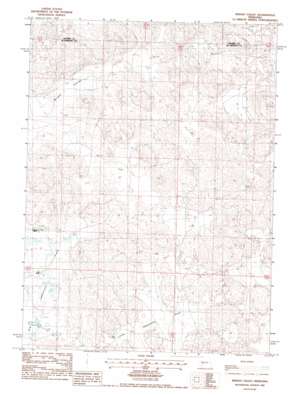 Wright Valley topo map