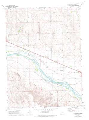 Coumbe Bluff topo map
