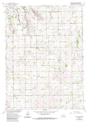 Neligh Sw USGS topographic map 42098a2
