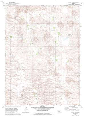 Carson Lake USGS topographic map 42099a2