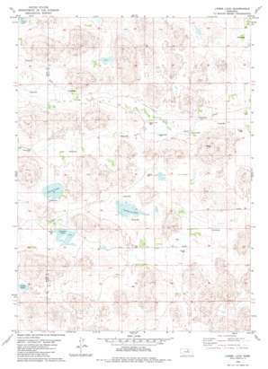 Lambs Lake USGS topographic map 42099c2