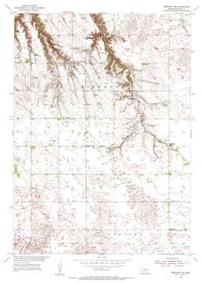 Newport Ne USGS topographic map 42099f3