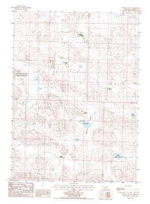 Wilson Valley USGS topographic map 42100d3