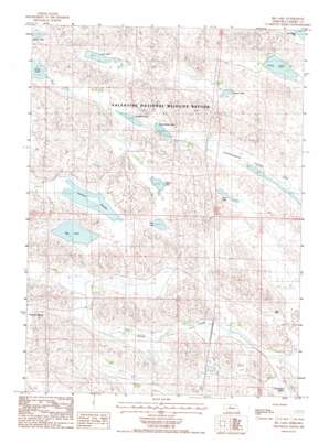 Pony Lake USGS topographic map 42100d5