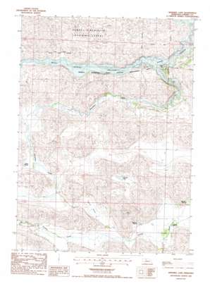 Windmill Lake USGS topographic map 42100e8