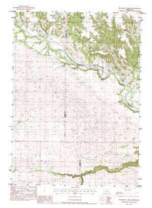 Muleshoe Creek topo map