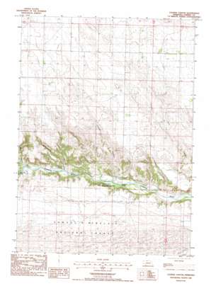 Cooper Canyon USGS topographic map 42100g8