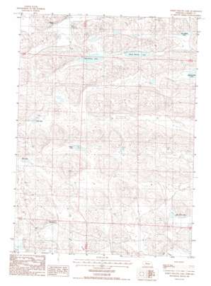 Big Willow Lake USGS topographic map 42101c4