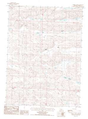 Carrico Lakes USGS topographic map 42101c6
