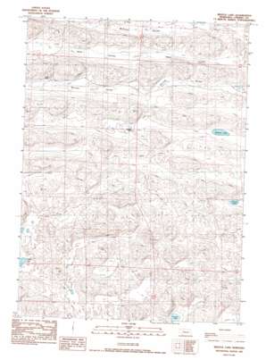Bristol Lake USGS topographic map 42101c7